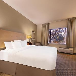 Zimmer mit Kingsize-Bett