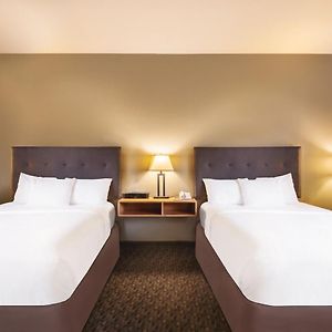 Zimmer mit Queensize-Bett